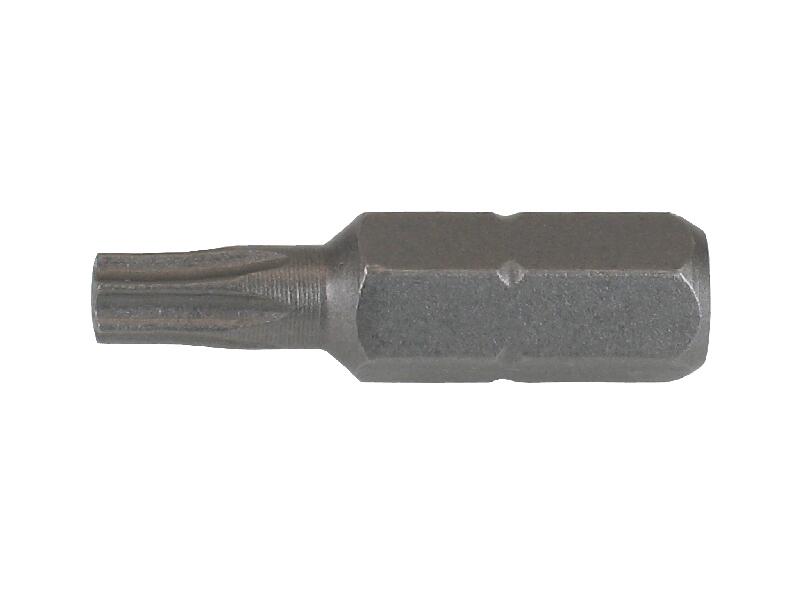 BIT 1/4 Z TORX M.L. TA 10 3070.1
