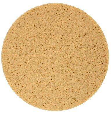 Schwammscheibe klett