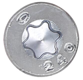 S - FIX plus ge.zi. TG 10,0 x 100 Tx 40