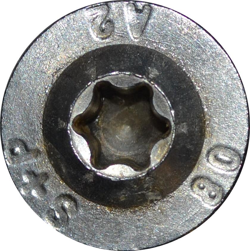 SPS V2A Tellerkopf 8 x 100 mm