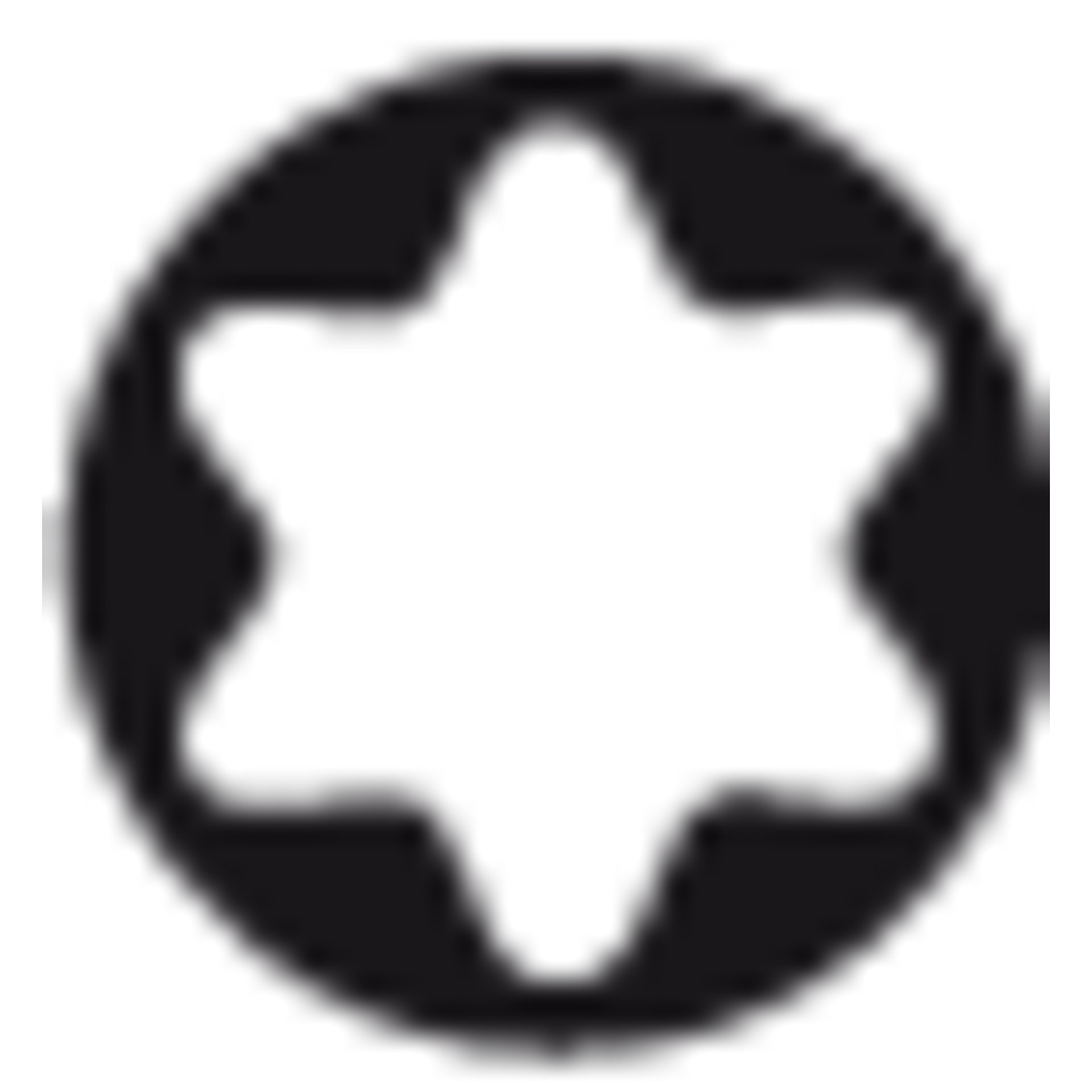 Icon Torx