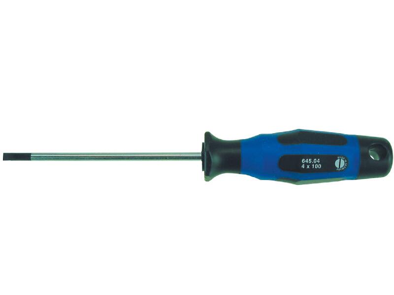 Schraubendreher LS Elektriker